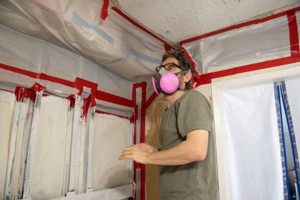 Best Asbestos and Lead Testing During Mold Inspection  in Samoset, FL