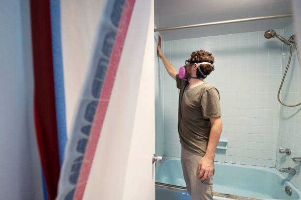 Professional Mold Removal in Samoset, FL