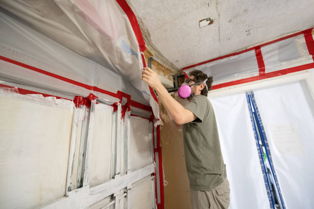 Best Mold Documentation for Insurance Claims  in Samoset, FL