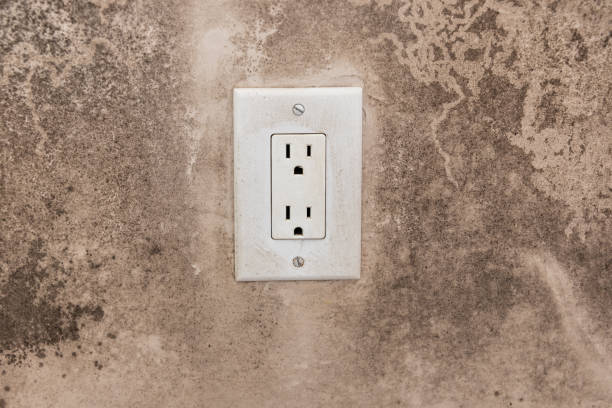 Best Water Damage & Mold Remediation  in Samoset, FL