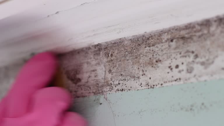 Best Post-Remediation Verification Testing  in Samoset, FL